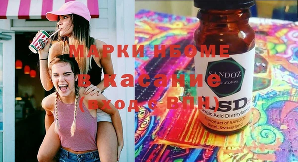 стаф Бородино