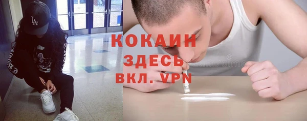 стаф Бородино
