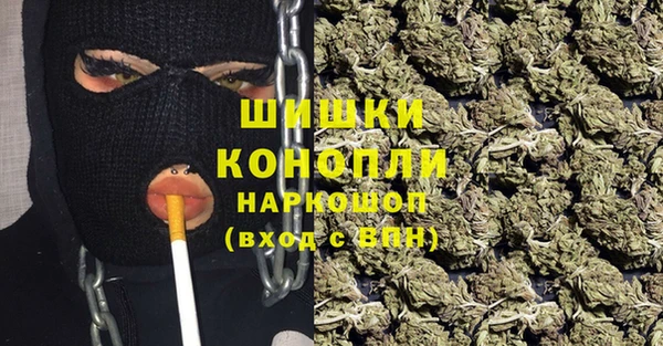 ГАЛЛЮЦИНОГЕННЫЕ ГРИБЫ Бронницы