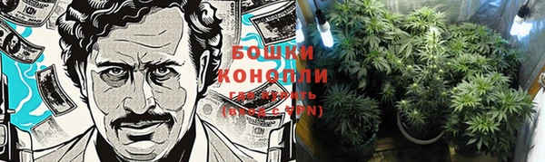 стаф Бородино