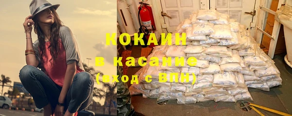 стаф Бородино