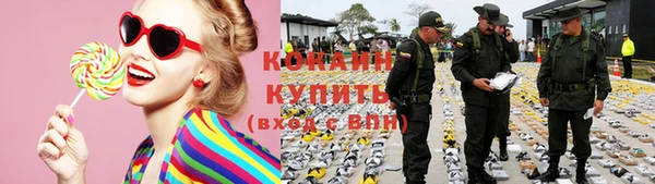стаф Бородино