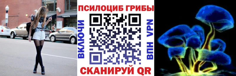 Галлюциногенные грибы Cubensis  Купить  Копейск 